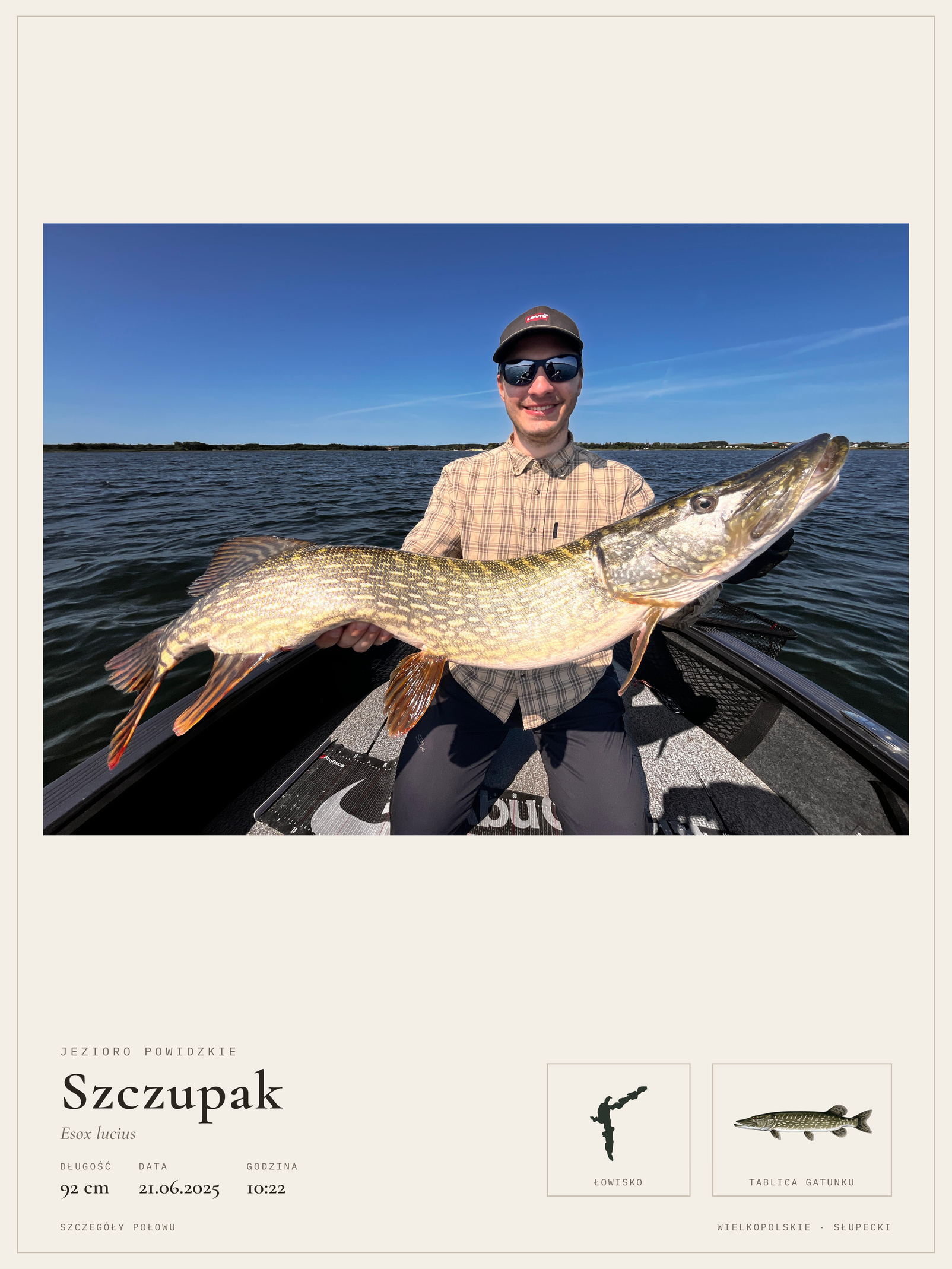 Plakat układu Okaz: szczupak, 92 cm, Jezioro Powidzkie, 21 czerwca